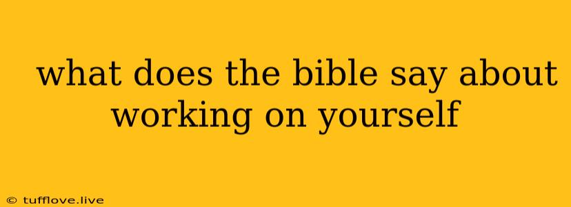  What Does The Bible Say About Working On Yourself