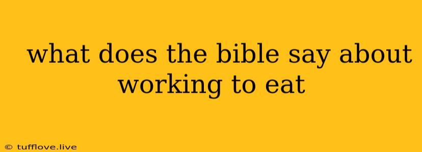  What Does The Bible Say About Working To Eat