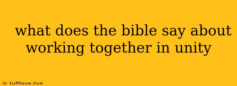  What Does The Bible Say About Working Together In Unity