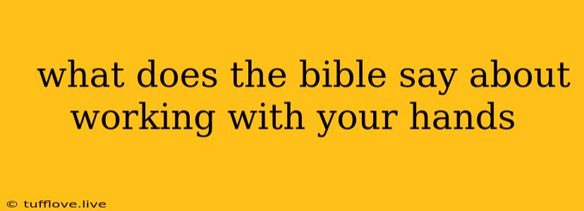  What Does The Bible Say About Working With Your Hands