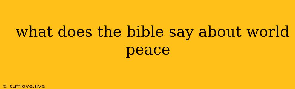  What Does The Bible Say About World Peace