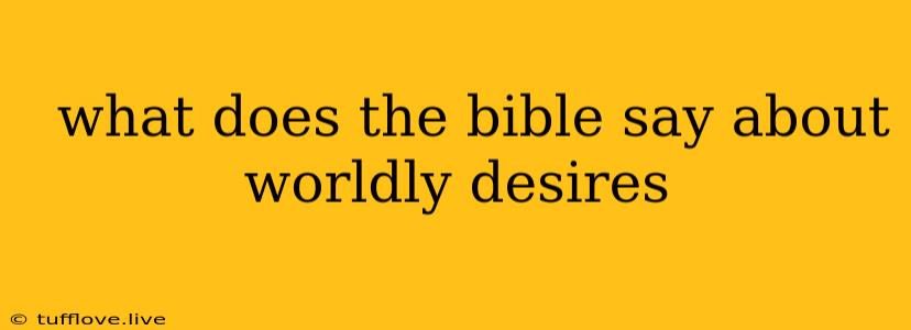  What Does The Bible Say About Worldly Desires