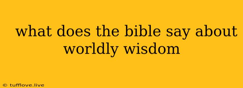  What Does The Bible Say About Worldly Wisdom