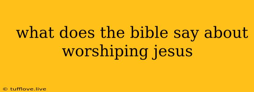  What Does The Bible Say About Worshiping Jesus