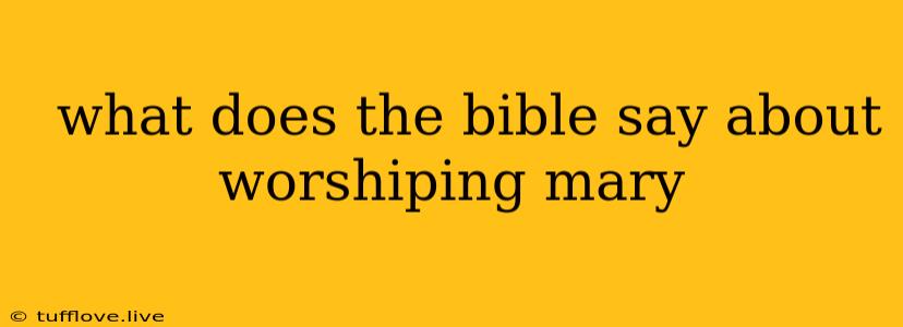  What Does The Bible Say About Worshiping Mary