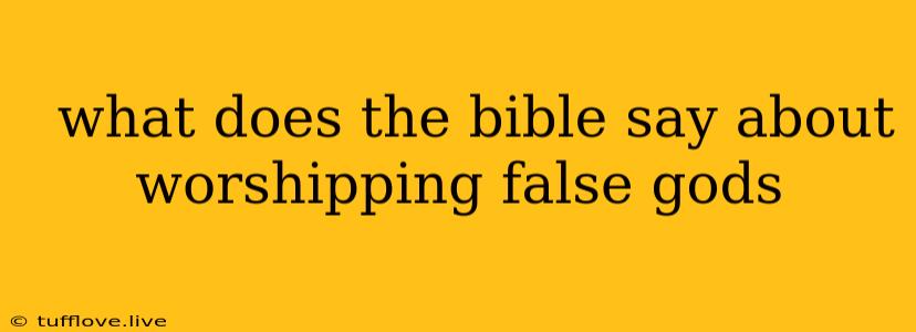  What Does The Bible Say About Worshipping False Gods