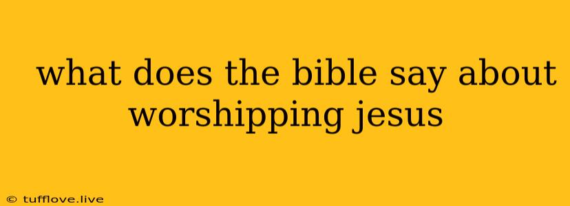  What Does The Bible Say About Worshipping Jesus