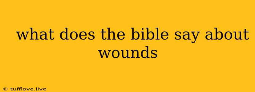  What Does The Bible Say About Wounds