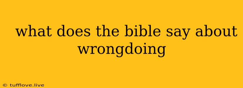  What Does The Bible Say About Wrongdoing