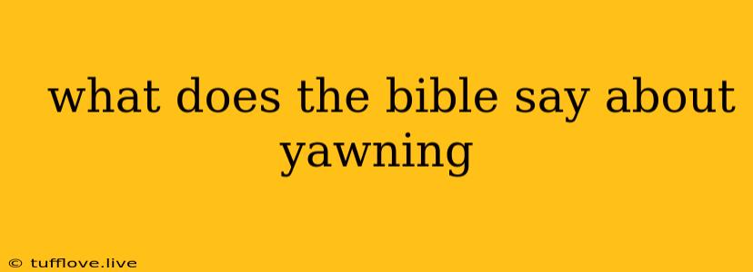  What Does The Bible Say About Yawning