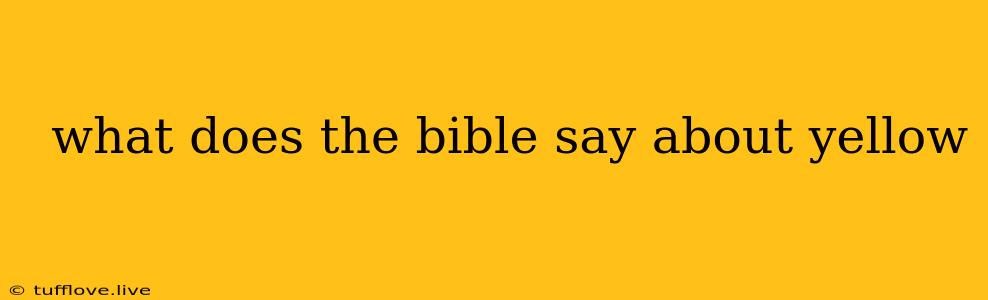  What Does The Bible Say About Yellow