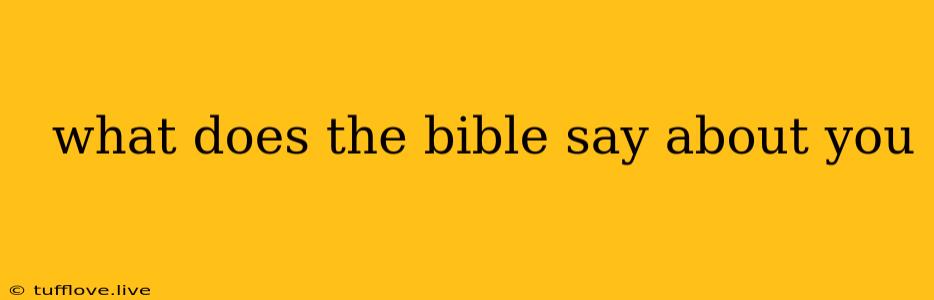  What Does The Bible Say About You