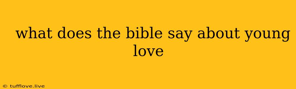  What Does The Bible Say About Young Love