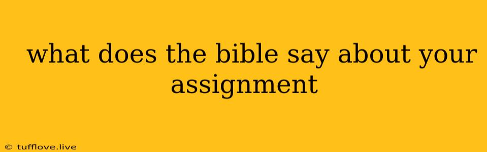  What Does The Bible Say About Your Assignment