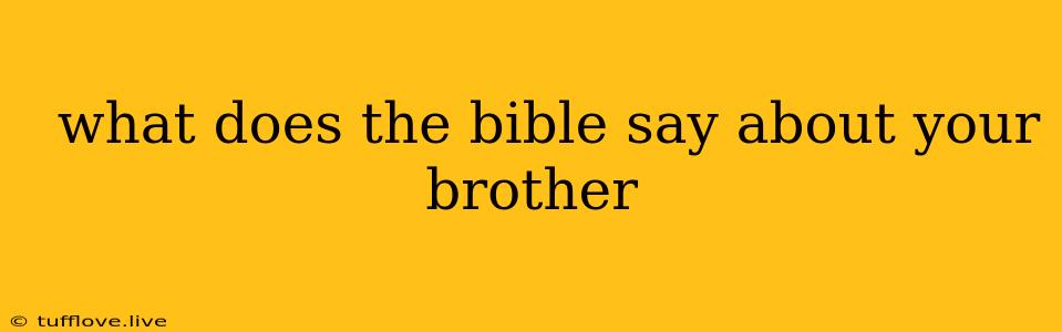  What Does The Bible Say About Your Brother