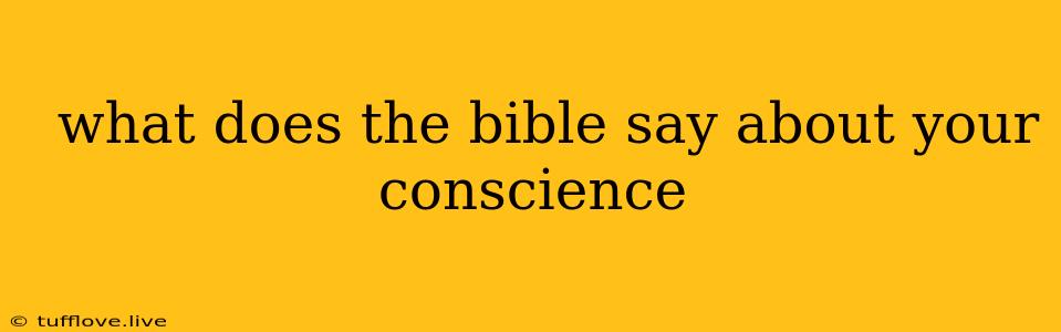  What Does The Bible Say About Your Conscience