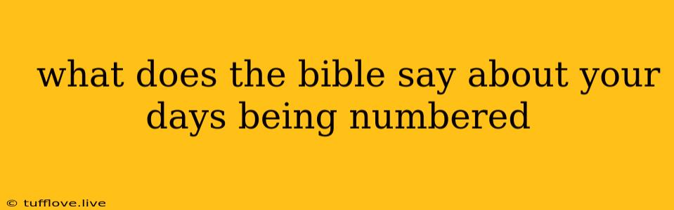  What Does The Bible Say About Your Days Being Numbered