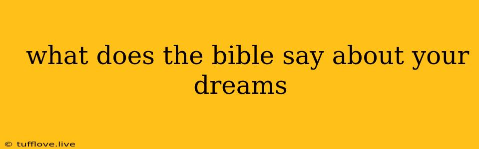  What Does The Bible Say About Your Dreams