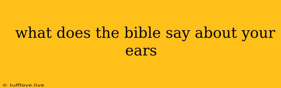  What Does The Bible Say About Your Ears