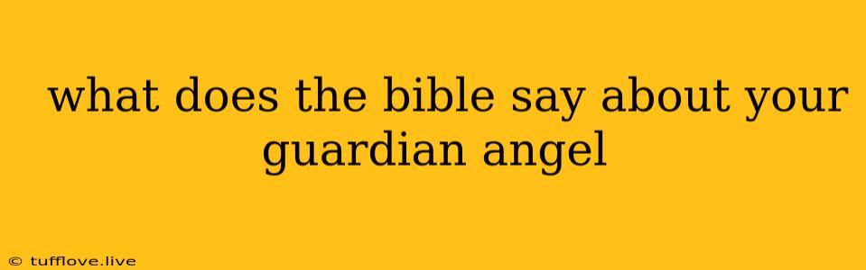  What Does The Bible Say About Your Guardian Angel