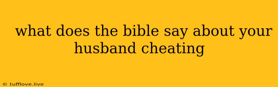  What Does The Bible Say About Your Husband Cheating