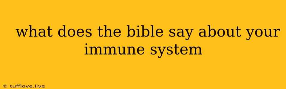  What Does The Bible Say About Your Immune System