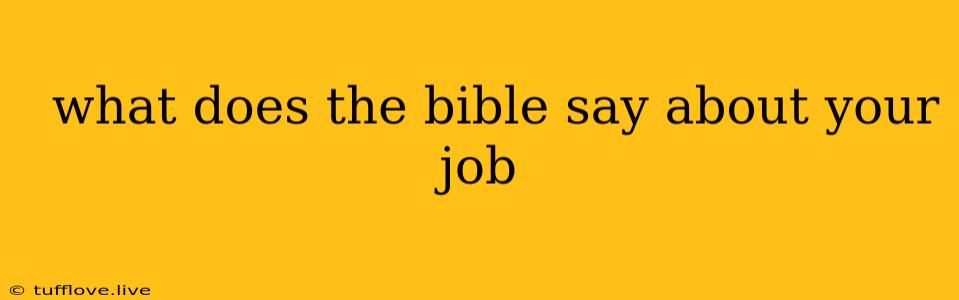  What Does The Bible Say About Your Job