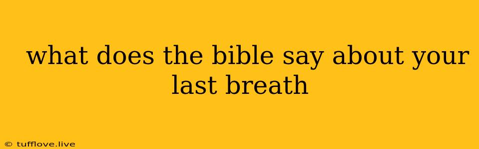  What Does The Bible Say About Your Last Breath