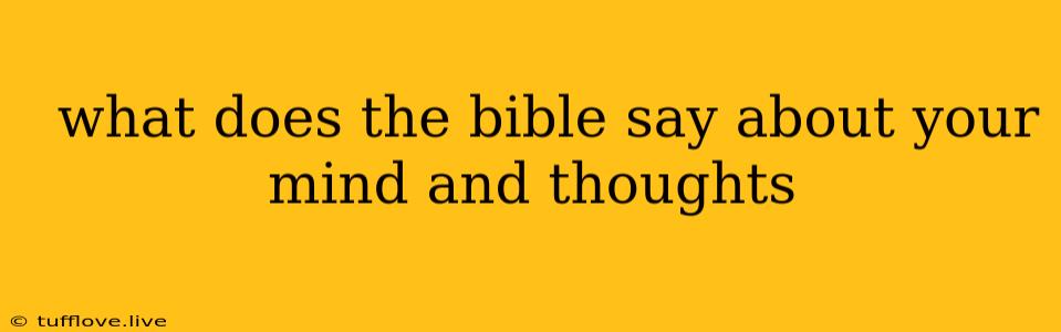  What Does The Bible Say About Your Mind And Thoughts