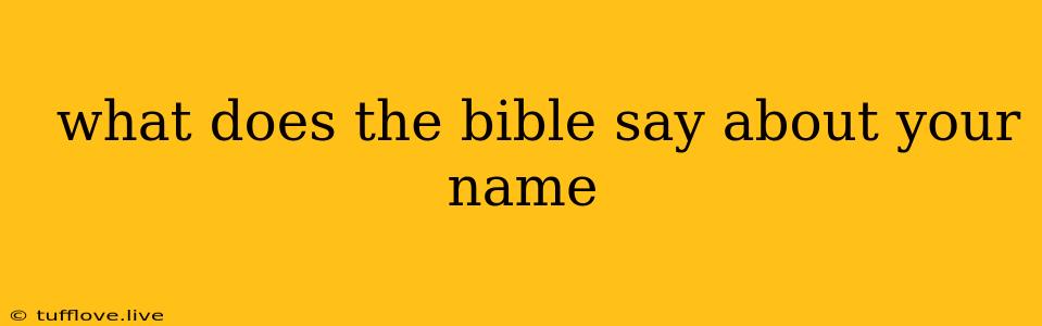  What Does The Bible Say About Your Name