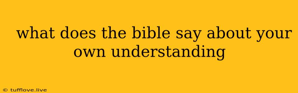  What Does The Bible Say About Your Own Understanding