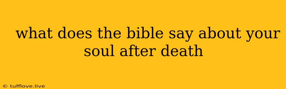  What Does The Bible Say About Your Soul After Death