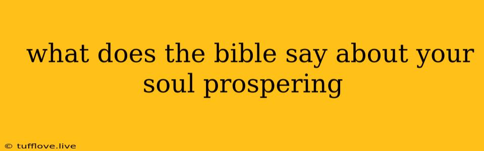  What Does The Bible Say About Your Soul Prospering