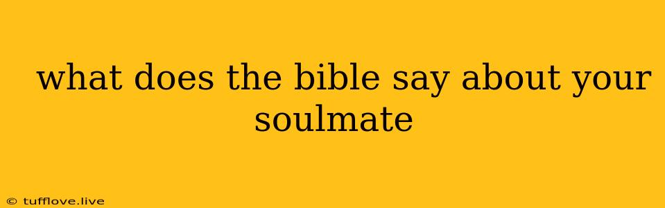  What Does The Bible Say About Your Soulmate