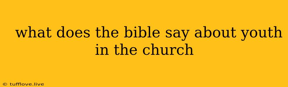  What Does The Bible Say About Youth In The Church