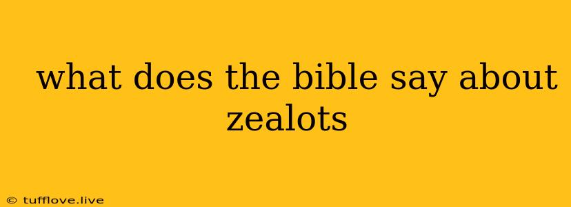  What Does The Bible Say About Zealots